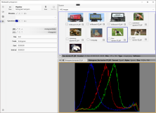 Draw Histogram
