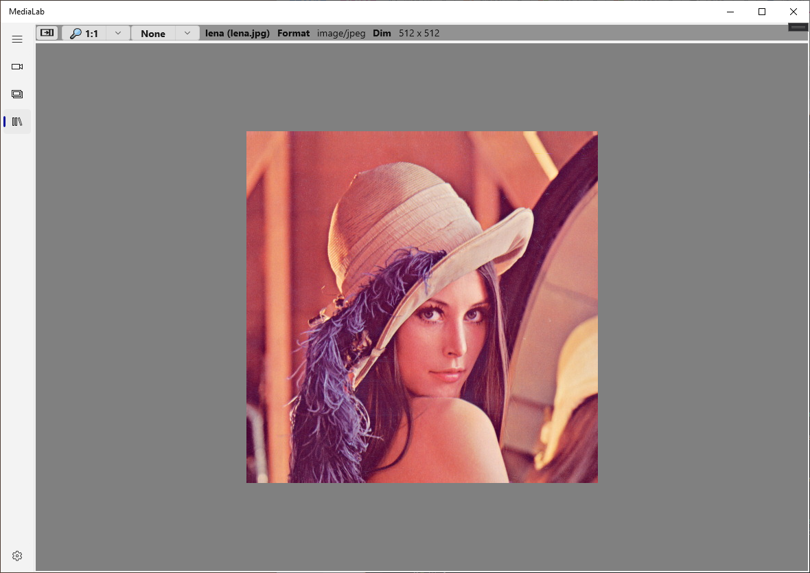 Image Viewer in MediaLab